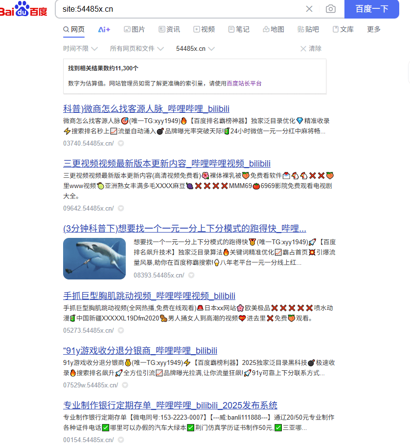来研究一下 这些没BA的站 怎么百度收录那么多？？？ 2021百度不收录