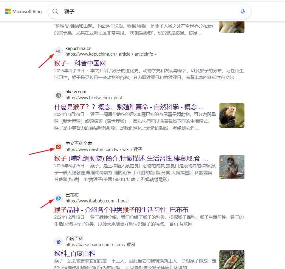 必应标题前面这个图标问题 必应logo含义