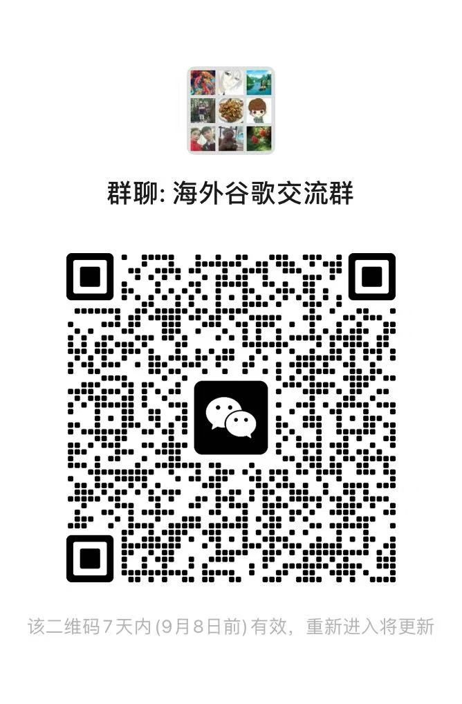 谷歌SEO小白新手,也应该知道的东西 谷歌seo技巧,谷歌seo新规则