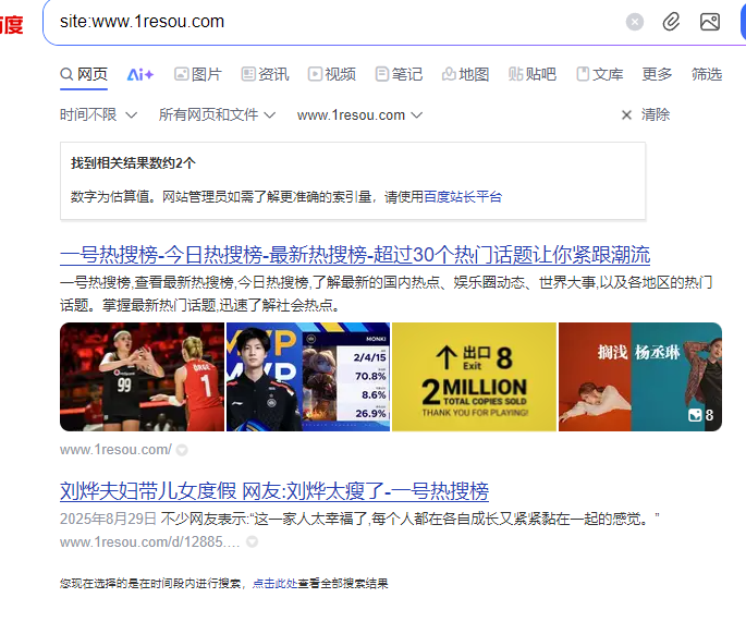 新站上线第十天，内页收录了 