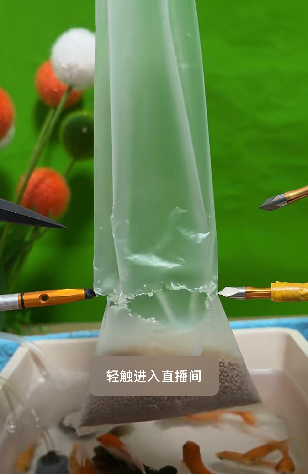 这帮老六点子确实多……直播，打赏，可喂鱼 老六在哪直播,老六cs,老六老六