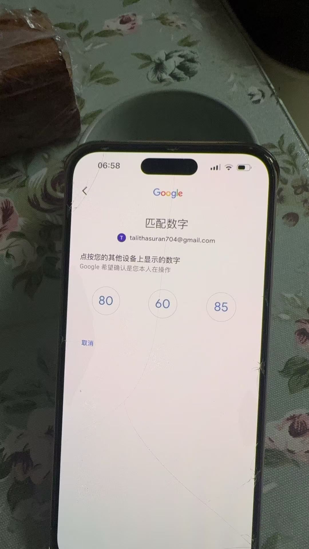 谷歌验证码真麻烦。搞了十分钟没能登上谷歌账号，安全措施蛋疼